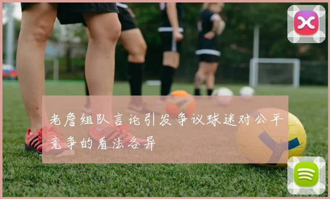 老詹组队言论引发争议球迷对公平竞争的看法各异