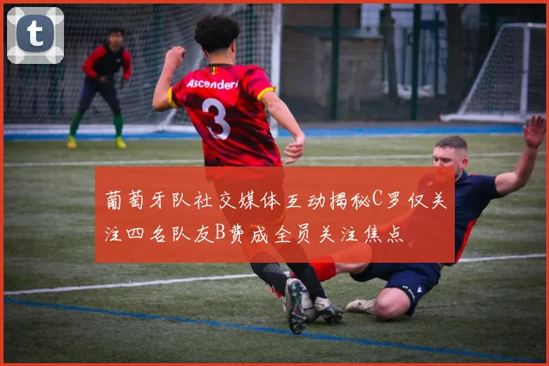 葡萄牙队社交媒体互动揭秘C罗仅关注四名队友B费成全员关注焦点