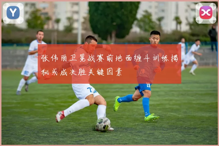 张伟丽卫冕战赛前地面缠斗训练揭秘或成决胜关键因素